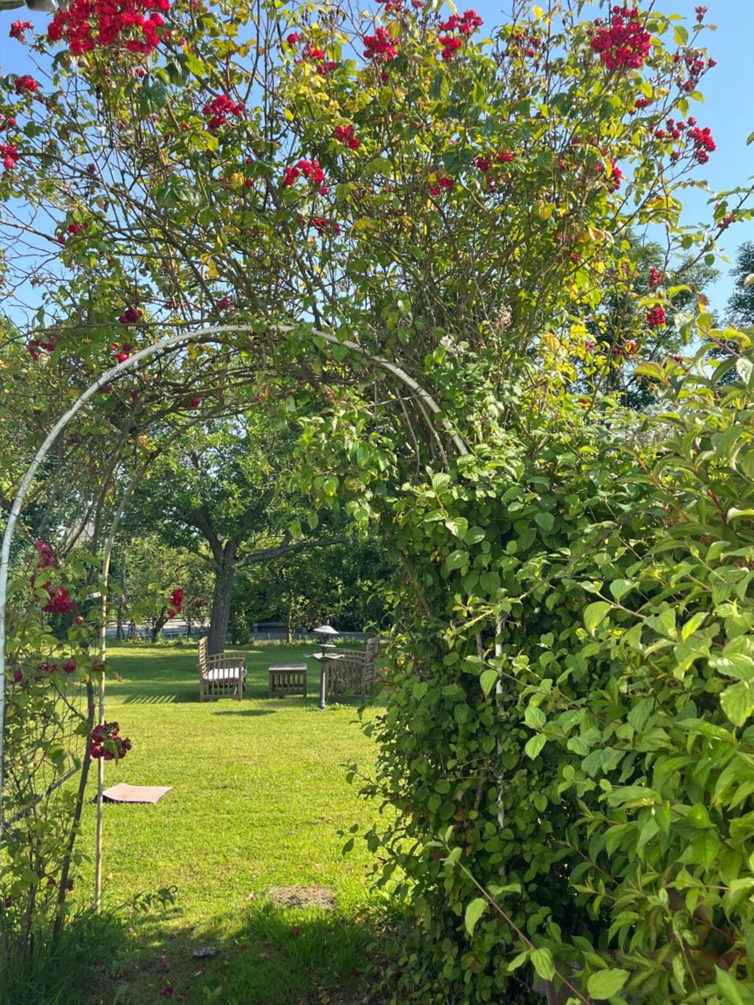 Le Refuge Du Bien Etre Villa Ruminghem Exteriör bild